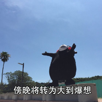 熊本熊 天气预报 撩 土味情话