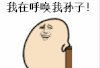 金馆长 孙子 呼唤 表情包
