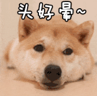 狗狗 头好晕 可爱 萌宠