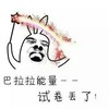 小魔仙 魔法 恶搞 巴拉拉能量试卷丢了
