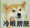 柴狗 吸烟 侧视 冷漠 柴狗：冷眼膀胱（冷眼旁观）,