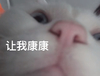 萌宠 猫星人 让我康康 我来了 搞怪 呆萌
