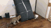 生活 略胜一筹 小喵 智商 搞笑 喵星人 捉迷藏 gif