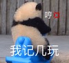 萌宠 熊猫 我自己玩 生气了 呆萌 可爱