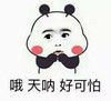 熊猫 可爱 呆萌 斗图 哦 天呐 好可怕