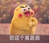 鹦鹉兄弟 红脸蛋 黄色 你这个臭居居