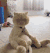 猫咪 坐姿 搞笑 可爱