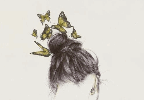 头发 独立  蝴蝶