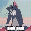 猫和老鼠     开心   咯咯咯咯   猫咪   得瑟