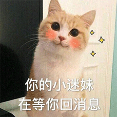 貓咪 可愛 萌寵 賣萌 眨眼