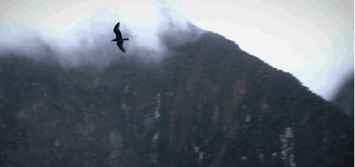 云 宣传片 山脉 新西兰 海鸥 风景
