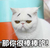 猫咪 可爱 呆萌 斗图 搞笑 那你很棒棒咯