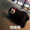 熊本熊 嘿嘿 搞笑 可爱