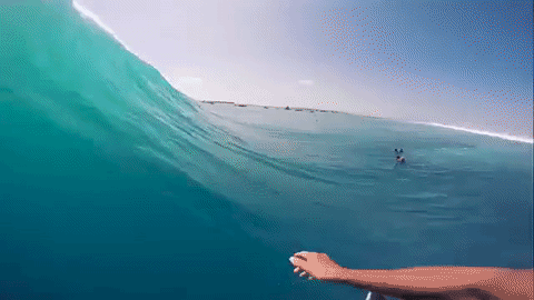 冲浪 运动 surfing