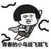 暴漫 文字表情包 青春的小鸟说飞就飞 搞笑 逗 沙雕