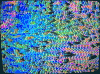 3d 色彩 绚烂 迷幻