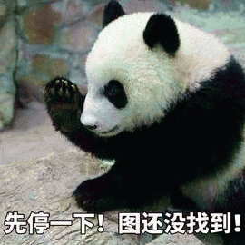 熊猫 大熊猫 先停一下 图还没找到 斗图
