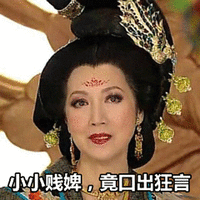 姐妹互怼表情包 小小贱婢 竟口出狂言