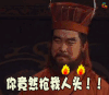 三国演义 生气 你竟然抢我人头 soogif soogif出品