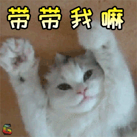 萌宠 猫 猫咪 王者荣耀 带带 我嘛 soogif soogif出品