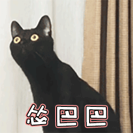 萌宠 猫 猫咪 喵星人 怂巴巴 委屈 soogif soogif出品 怂