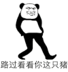 金馆长 熊猫人 路过看看你这只猪 走路