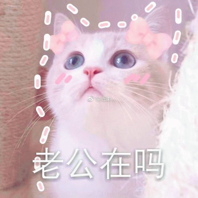 猫咪可爱大眼睛老公在吗gif动图_动态图_表情包下载_soogif