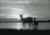 唯美 sunrise gif 视觉