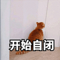 开始 自闭 猫 伤心 自闭