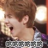 鹿晗 哈哈哈哈 大笑 搞怪 呆萌