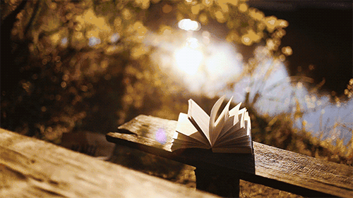 阳光 书 木板 黄昏