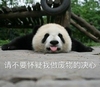 萌宠 熊猫 请不要怀疑我做废物的决心 我废了 呆萌 可爱