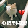 萌宠 猫星人 心碎到模糊 难受 搞怪
