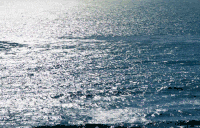 海洋 海面 波浪 ocean nature