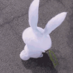 兔子胡萝卜图片_兔子胡萝卜动态图_兔子胡萝卜表情包