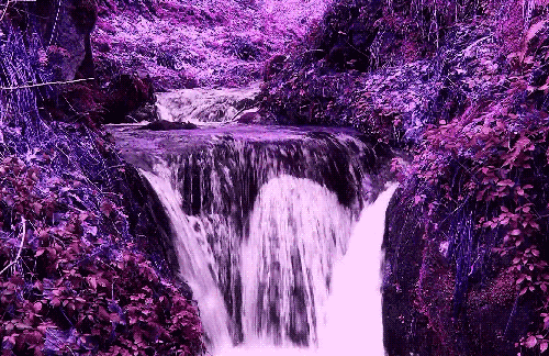瀑布 自然 猎奇 紫色