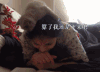 美女 小猫咪 搞笑 可爱