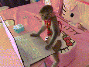 动物 猴子 搞笑 程序猿 电脑