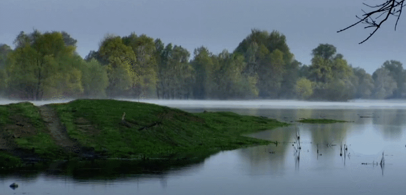 多瑙河 多瑙河-欧洲的亚马逊 清晨 纪录片 美 雾 风景