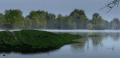 多瑙河 多瑙河-欧洲的亚马逊 清晨 纪录片 美 雾 风景