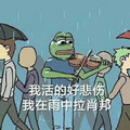 卡通 青蛙 拉小提琴 我活的好悲伤 在雨中拉肖邦