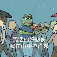 卡通 青蛙 拉小提琴 我活的好悲伤 在雨中拉肖邦