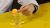 乒乓球 运动 soogif soogif出品