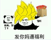 熊猫头 发你妈逼福利 福利 斗图 搞笑 猥琐