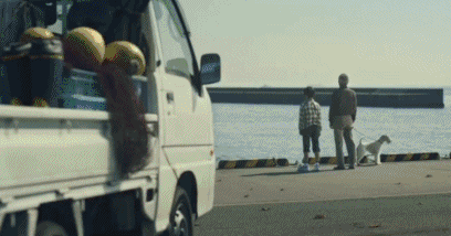 海边 小孩 短发 小狗