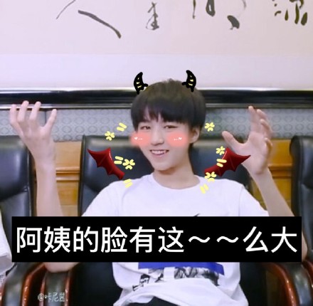 tfboysgif王俊凯gif阿姨脸这么大gif斗图gif搞笑gif