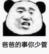 熊猫头 爸爸的事你少管 搞笑 斗图