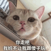 沙雕猫 猫咪 猫 可爱猫 猫表情包 猫咪表情包 小猫