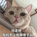 沙雕猫 猫咪 猫 可爱猫 猫表情包 猫咪表情包 小猫