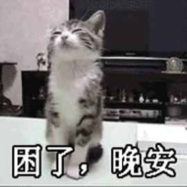 晚安GIF表情图_晚安动态_晚安GIF动图-SOO撒尿对的要饭表情包图片
